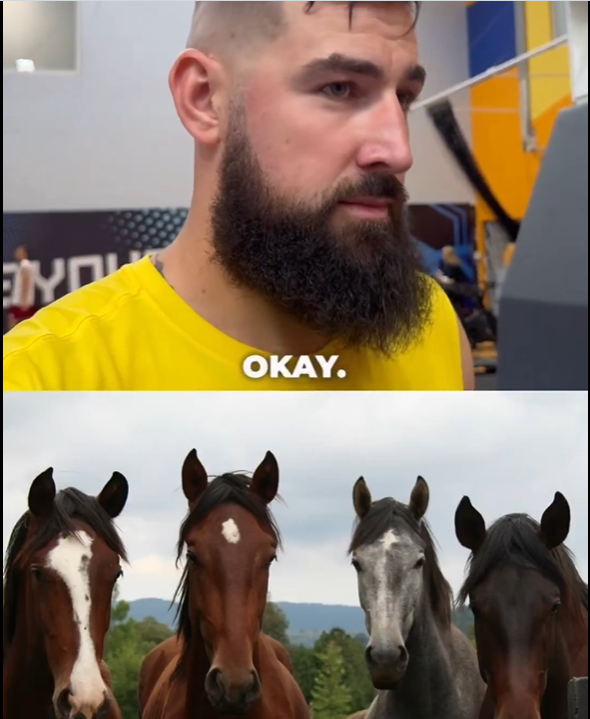 瓦兰：只和约基奇谈到了马，他给我传授了一些马的知识